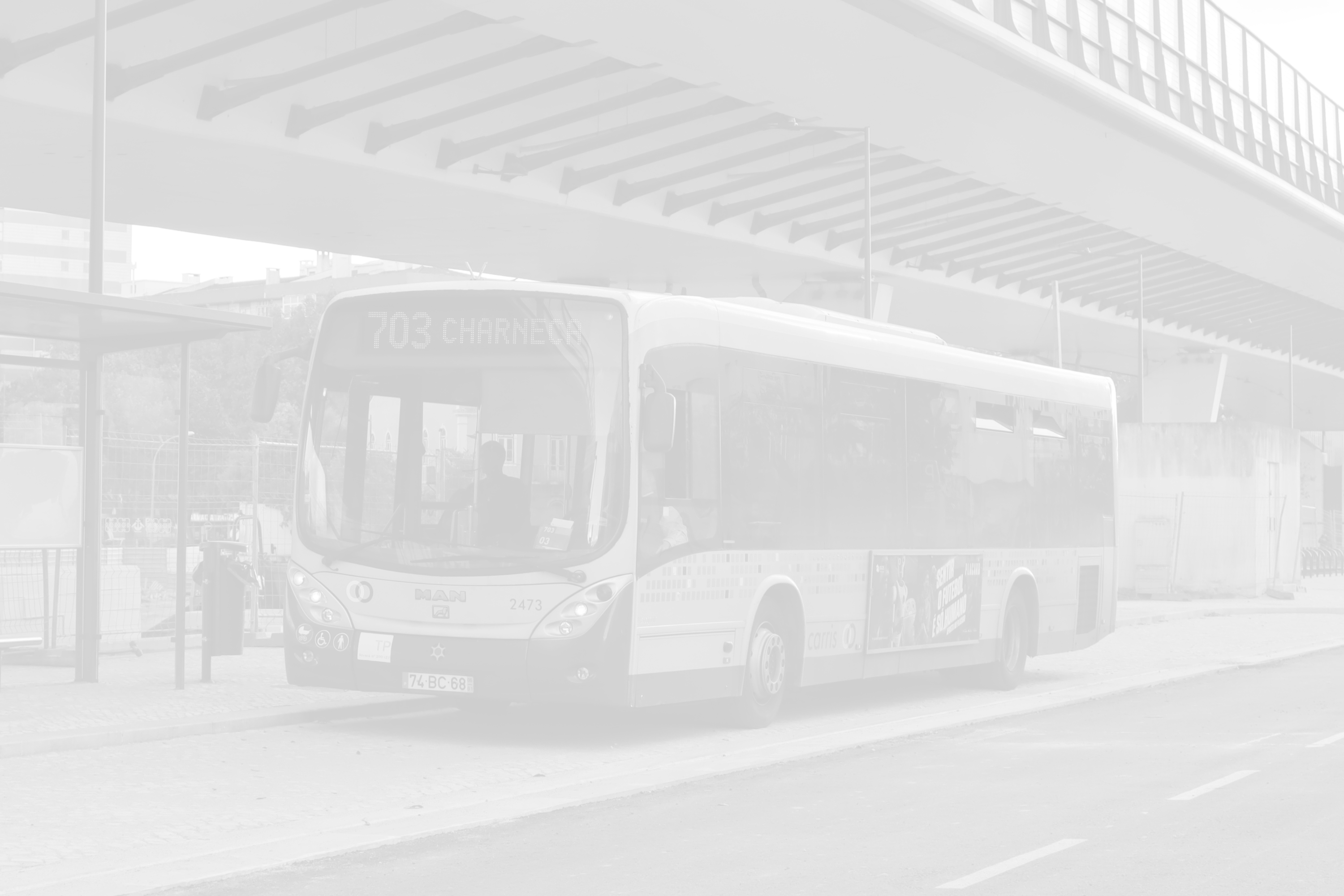 Percursos provisórios no 40B e 703 